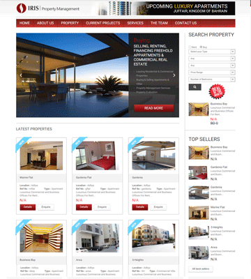 Info Bahrain Web Design Computer Systems Info Bahrain Web Design Web Development
